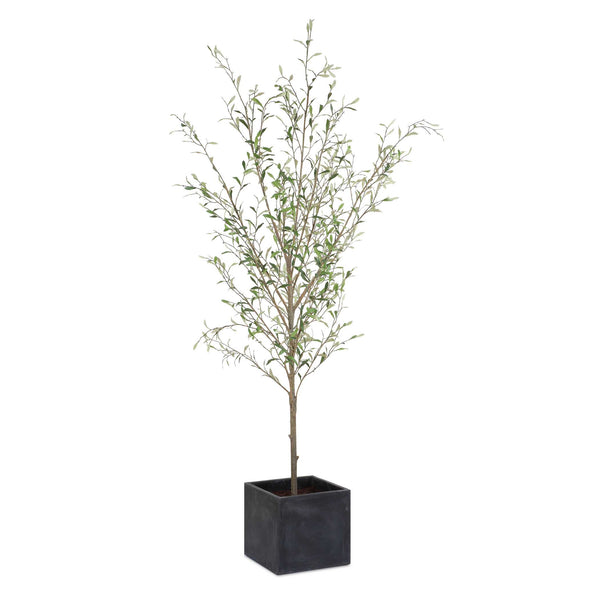 Uttermost Abundance Potted Olive Tree