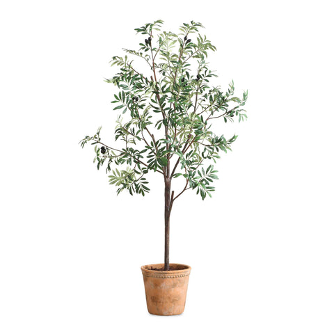 Uttermost Olea Potted Olive Tree