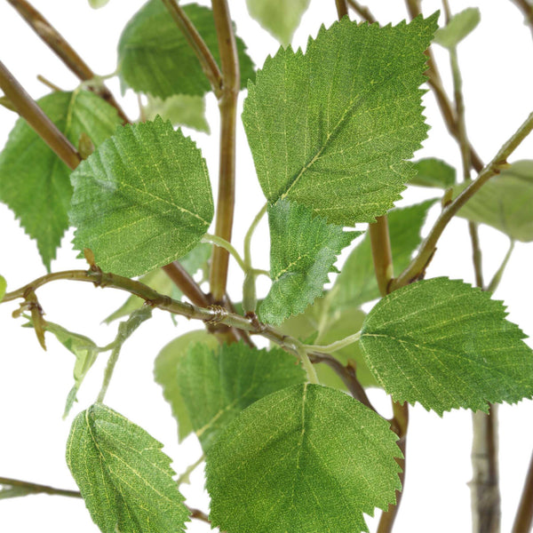 Uttermost Nigra Birch Vase Centerpiece