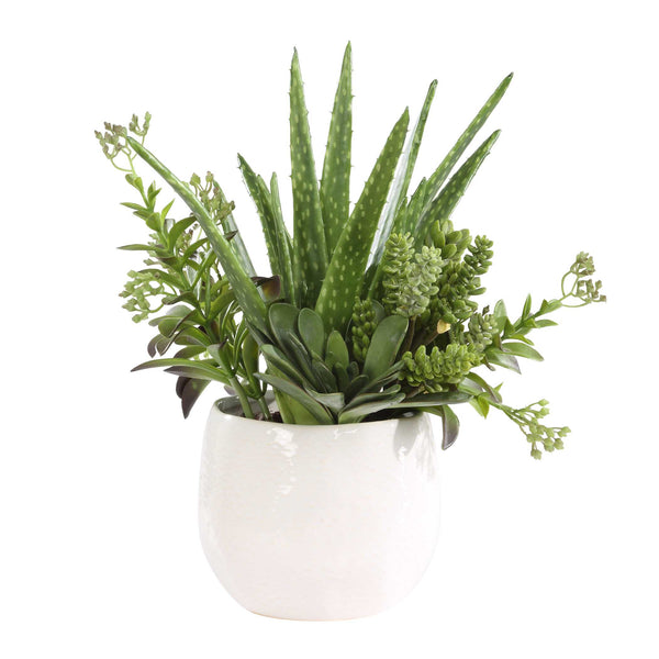 Uttermost Sundown Succulent Accent Planter