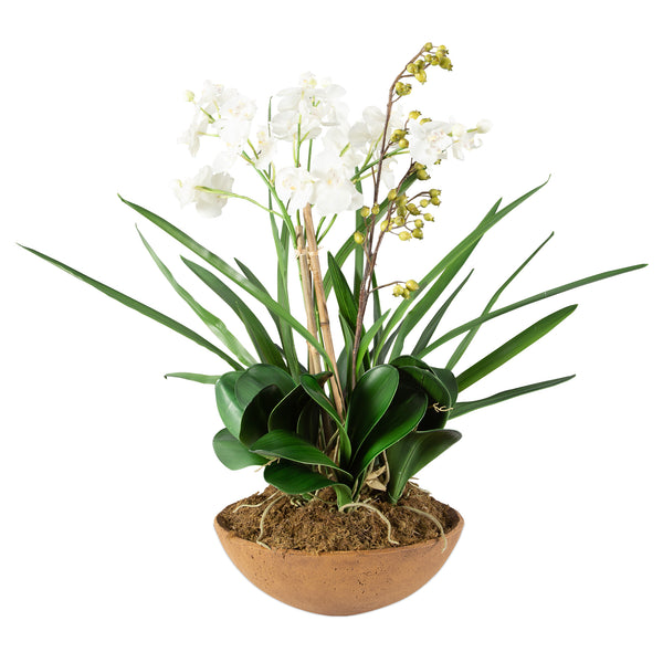 Uttermost Moth Orchid Planter