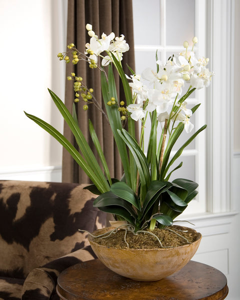 Uttermost Moth Orchid Planter