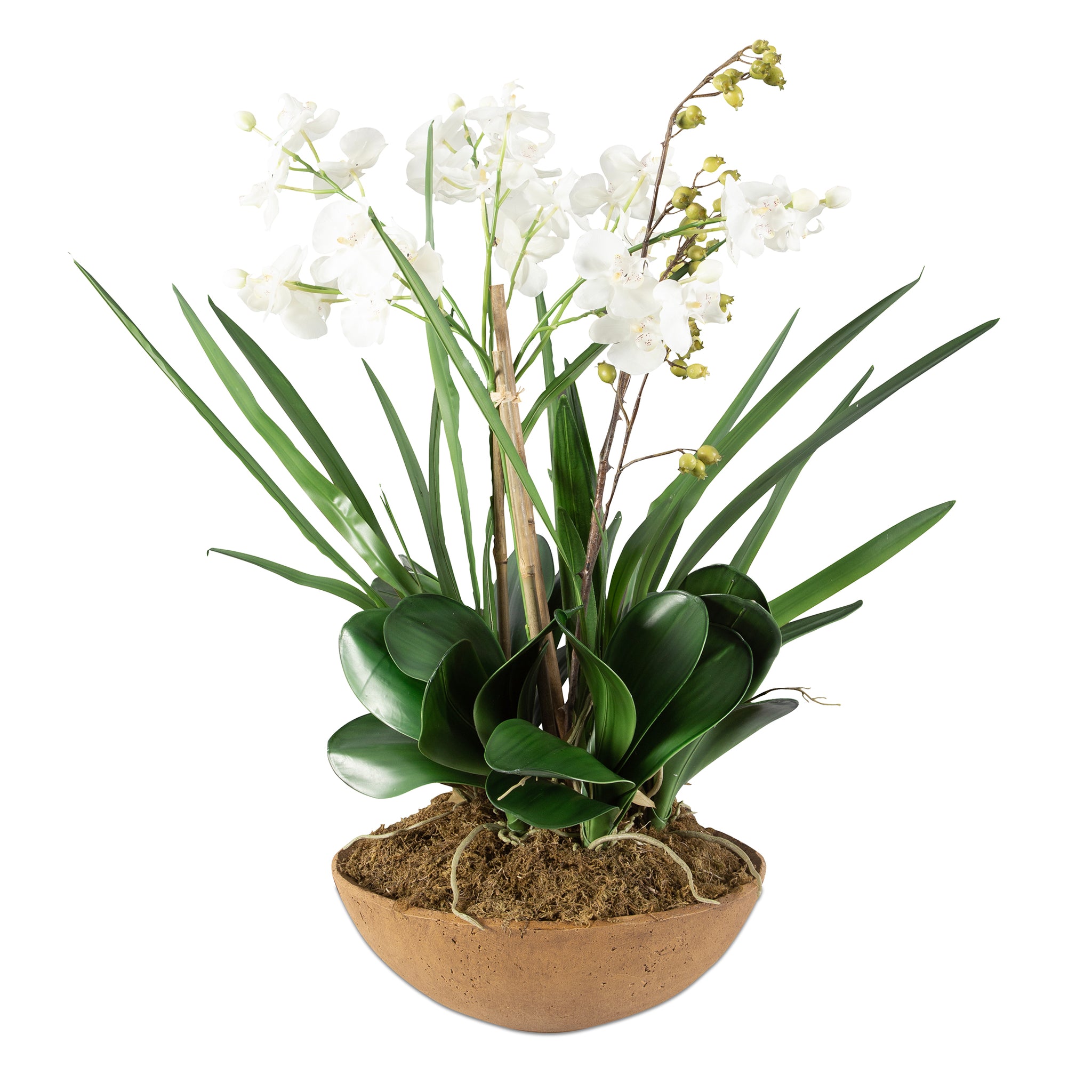 Uttermost Moth Orchid Planter