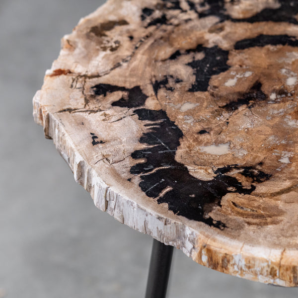 Uttermost Mircea Petrified Wood Accent Table